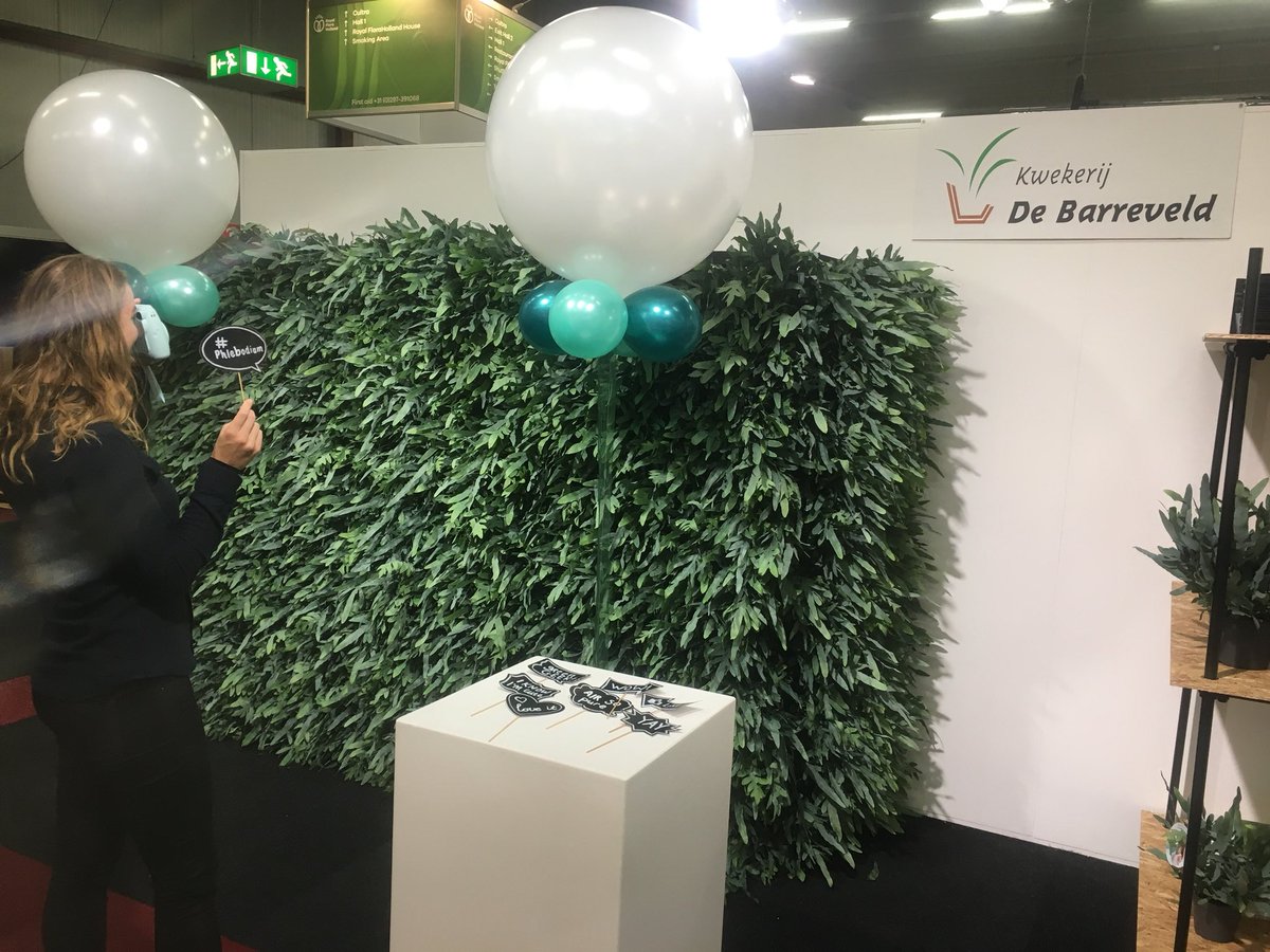 Photobomb met de Barreveld! #Phlebodium #AirSoPure #Greenwall #FHTF