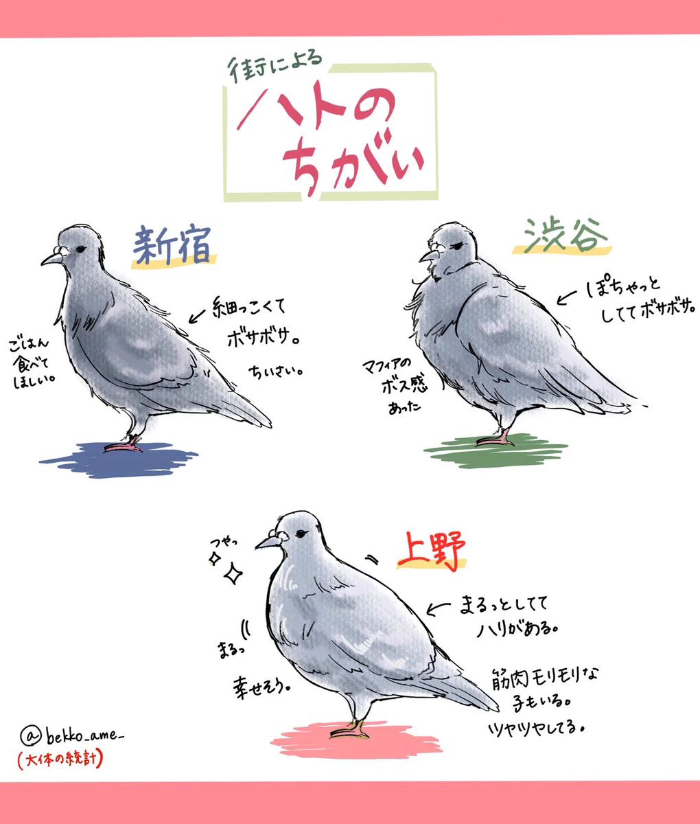 みんなは分かる？東京にいるハトの違い！街を如実に表すハトの風貌とは？