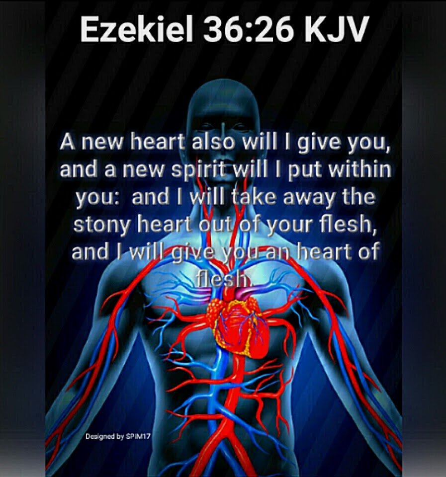 CKitty824's tweet photo. #WednesdayWisdom
Remember God is with you always. https://t.co/GVlUVBT9kS