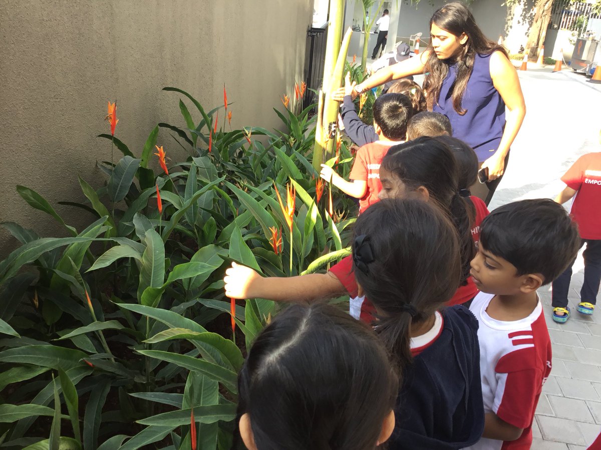SarahF8432's tweet photo. How the world works #Senses #Tuningin #letsexplore #naturewalk #Mysteryroom #Popcornmaking @ois_primary #OIS #JVLR #JKG_A https://t.co/TTngUIyx3M