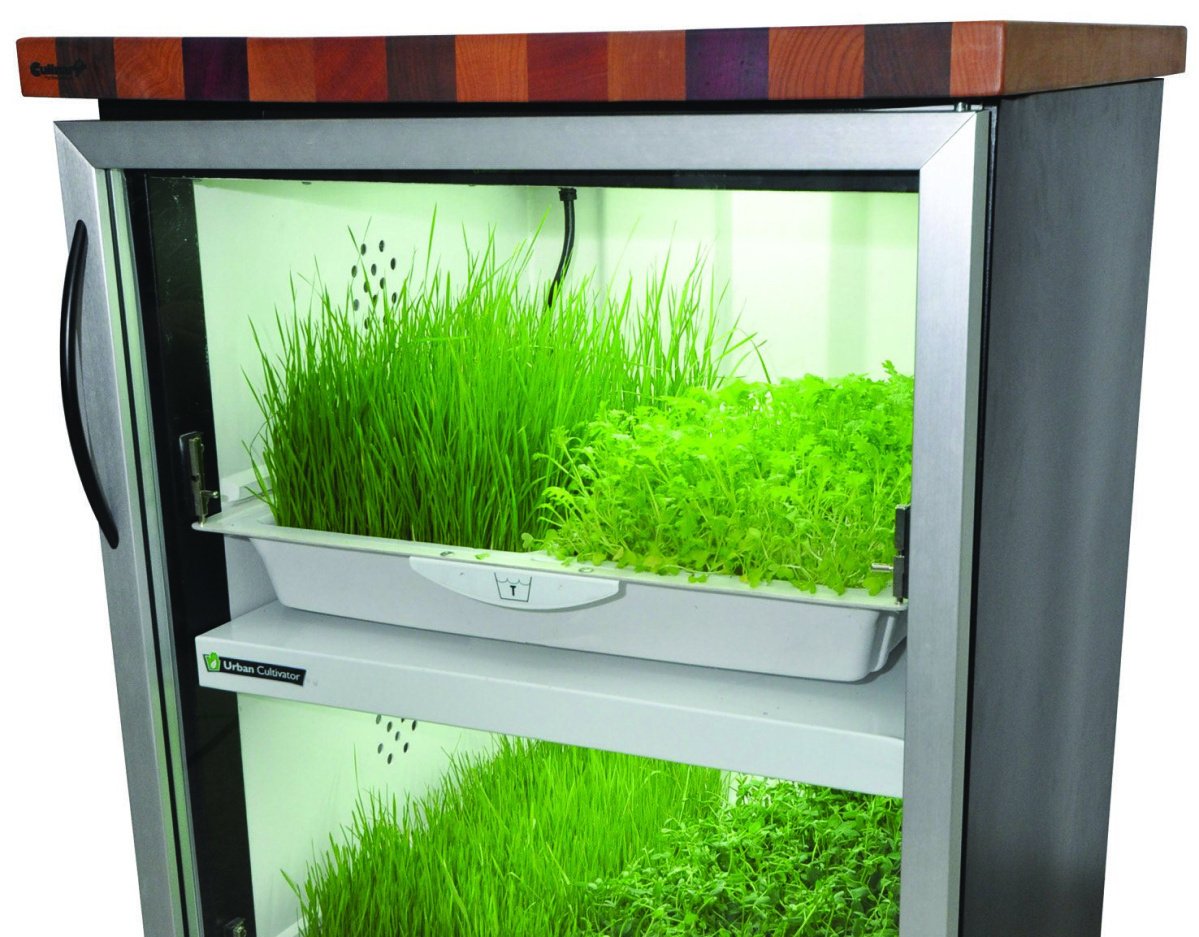 VeggieBros_'s tweet photo. GROW YOUR OWN! #veggie_bros #microgreen #superfood #urbanfarm #urbanfarming #farmersmarket #food #chefs #veggiebros https://t.co/GkSow3lY6H https://t.co/WrZyCL469e