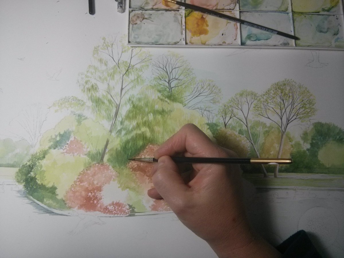 foartist's tweet photo. Progressing with the interpretation board for Cutteslow Park  @oxfordcitycouncil  #interpretationboard #illustration  #watercolour #oxfordshire  #interpretationsignage #watercolour #wildlife #naturalhistoryillustration  #cutteslowepark #watercolor #fionaosbaldstoneillustrator https://t.co/tfAQIsstFU