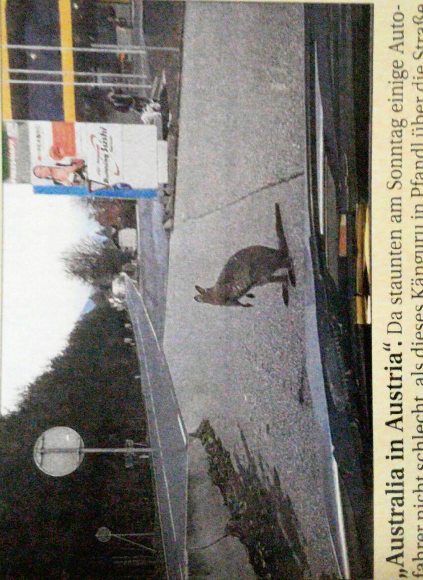 GamingDaddies's tweet photo. @magikthegamer @Mena_P13  do you miss someone? Screenshot from local newspaper #AustraliaAustria https://t.co/w82Fk8z5LJ