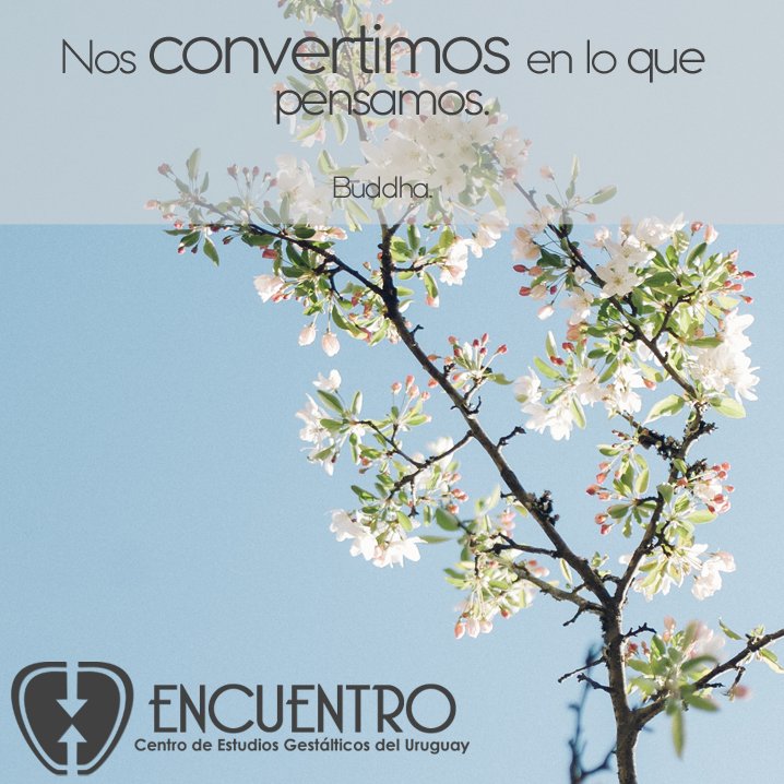 gestalturuguay's tweet photo. Muy feliz día!

#Procuremos desarrollar nuestras #posibilidades en cada día. #TENEMOSy #SOMOS MUCHO más de lo que consideramos. https://t.co/YixeEnV06L