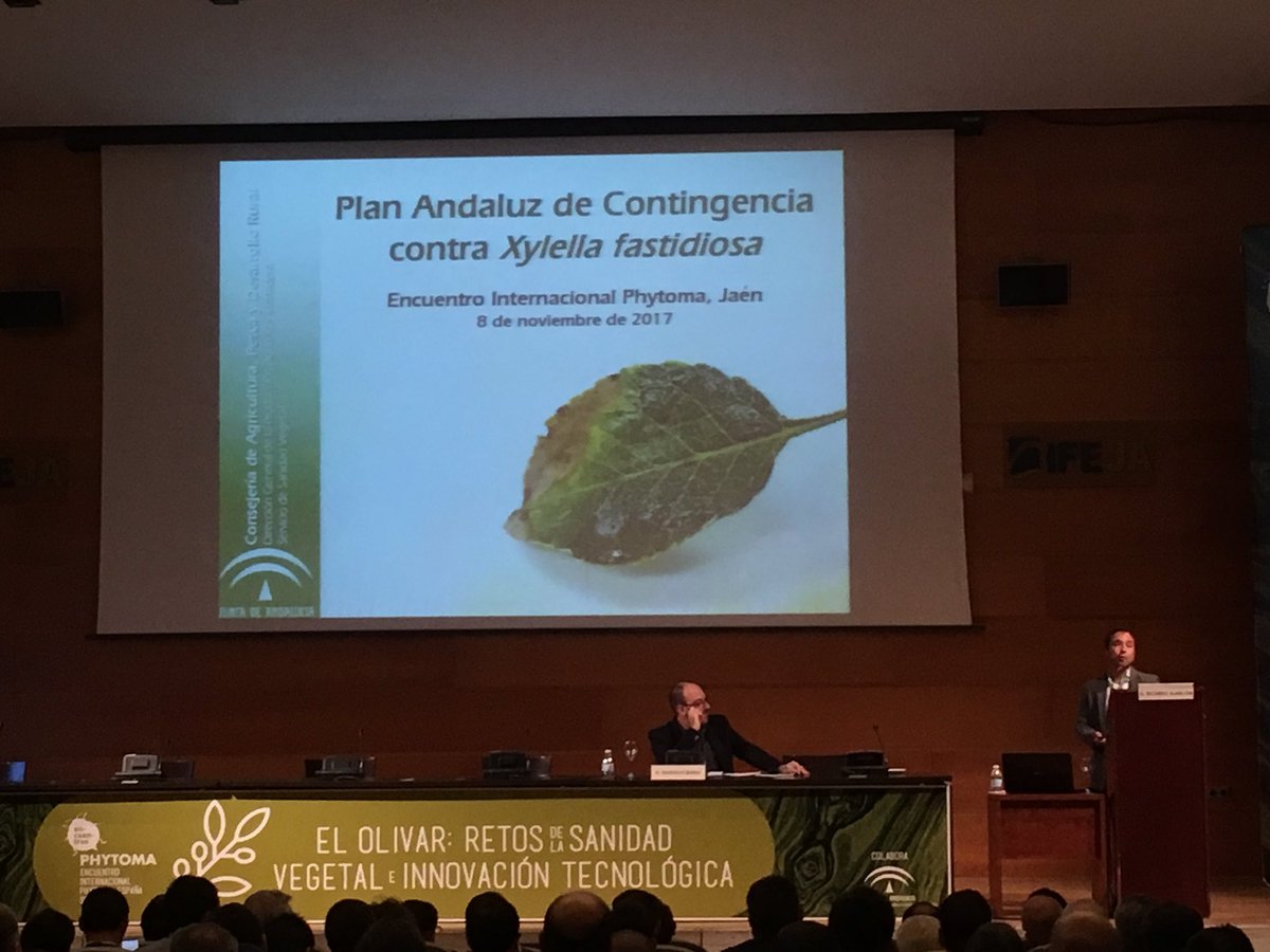api_tac's tweet photo. Nos encontramos en Encuentro Internacional Phytoma sobre el Olivar. Gracias @CertisSpain, @Entrecampo. #olivar #sanidadvegetal #raif https://t.co/lVmwpraktt