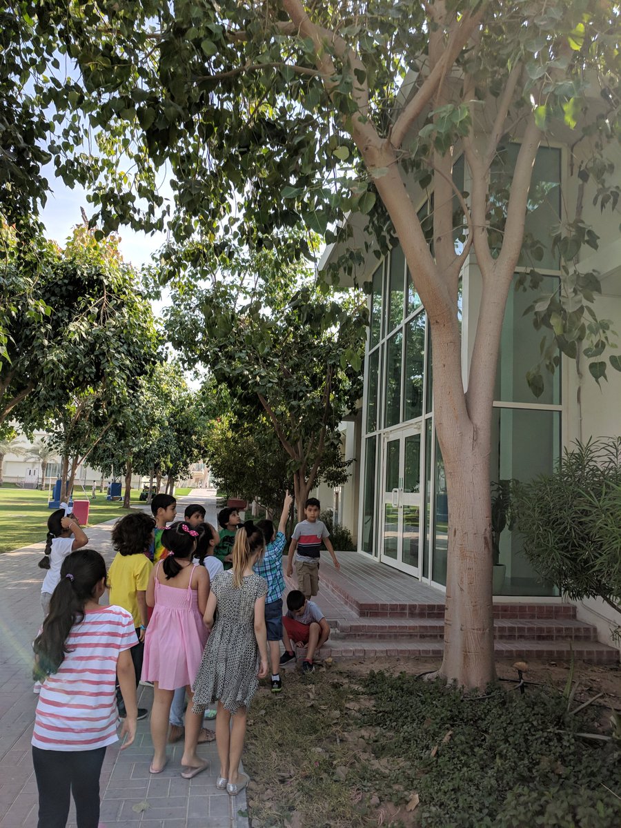 ShannaCallahan's tweet photo. Inquiring how seeds are dispersed in 2G @TheASDoha #grade2 🌱🤔 https://t.co/JnKaEIQrF8