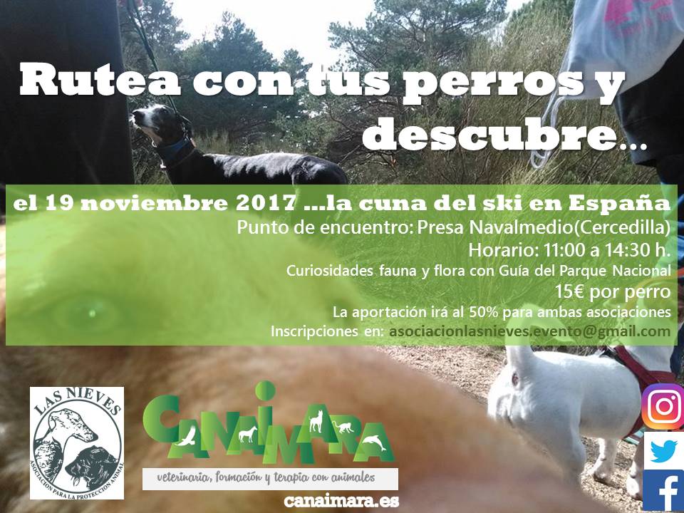 OKCanaimara's tweet photo. El domingo 19 de noviembre nos vamos de #rutaconperros con la @AsociacionLasNieves por #Cercedilla https://t.co/uMo7fEuc6G