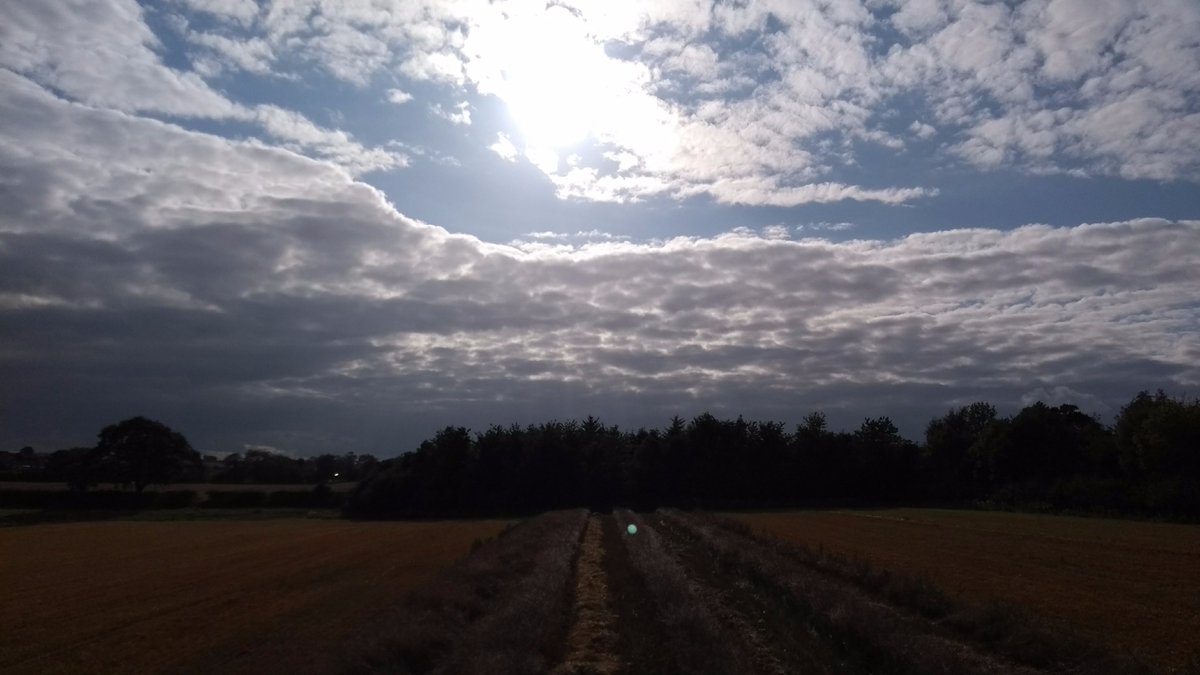 AgricultureNCL's tweet photo. Long overdue highlights from #harvest17! It was a busy season, but now it's just the sound of seed cleaning, threshing and milling in the NEFG research shed! @MinorCereals_eu #cereals #combineharvester #plotcombine #spelt #grains https://t.co/2IUOtE0JrQ
