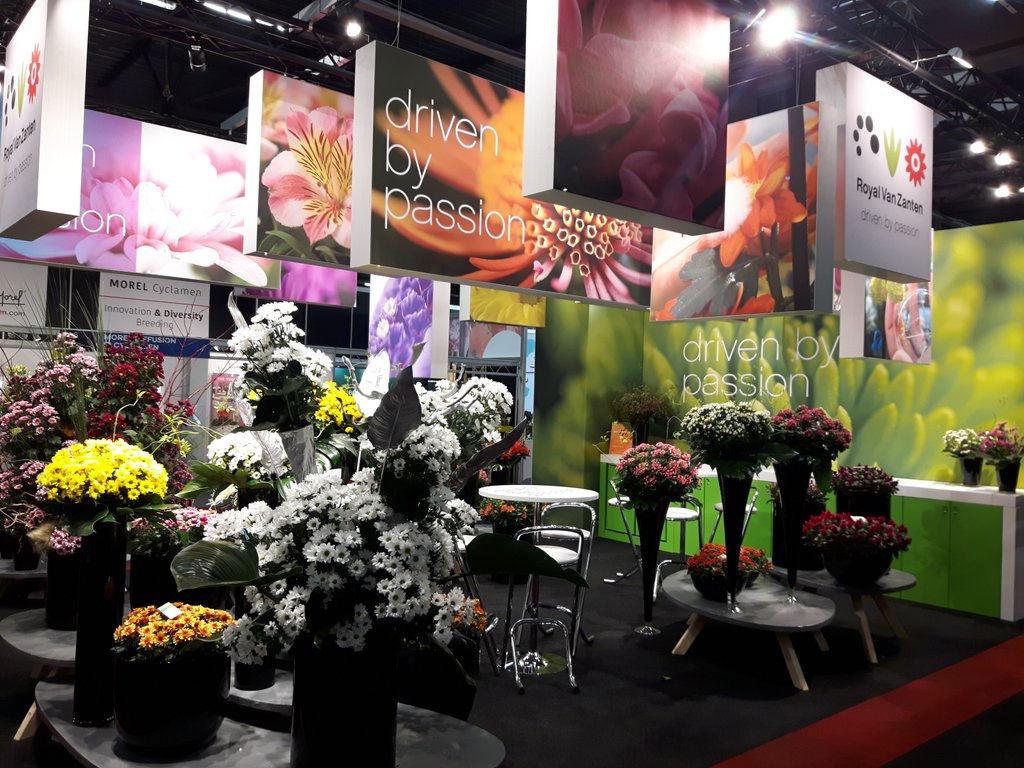 Bezoek onze kleurrijke stand op Royal FloraHolland Trade Fair Aalsmeer. Stand no. 20.8