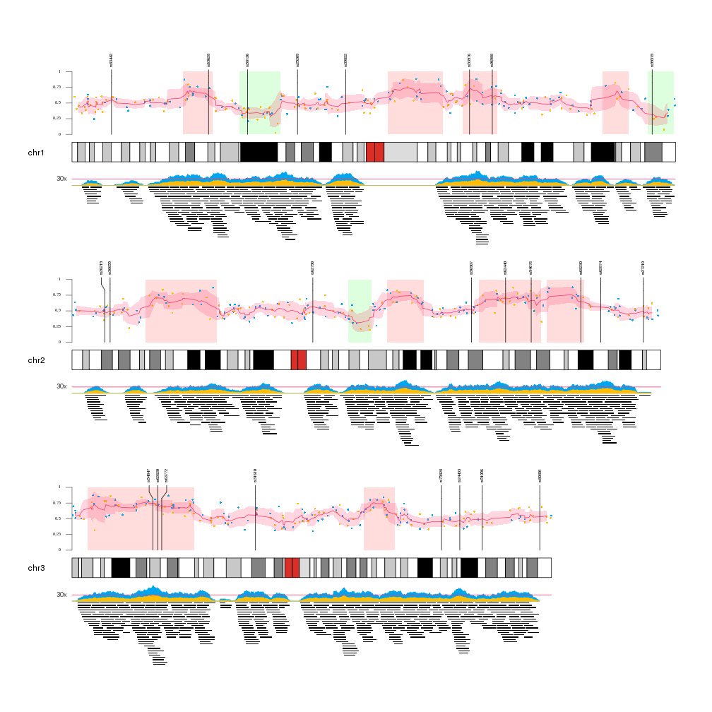 digr_io's tweet photo. #gi2017 Come to poster 59 to see how to use #karyoploteR to visualize any data on any... https://t.co/NcYGPdSsmg by #alevergara78 https://t.co/AZE3SEIsEY