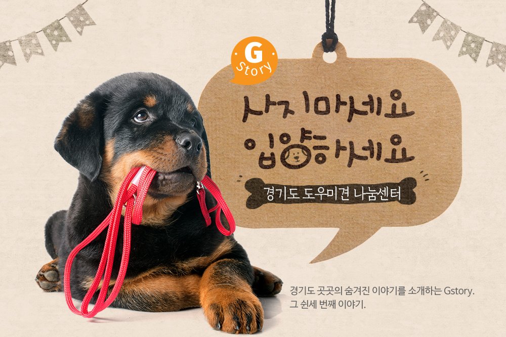 경기도 #도우미견나눔센터 를 아시나요? #안락사 위기에 처한 #유기견 들을 보호소에서 데려와 #반려견, #도우미견 교육 후 새 가족을 찾아 주는 경기도 도우미견 나눔센터의 이야기를 들어 보세요! goo.gl/KLQEZe