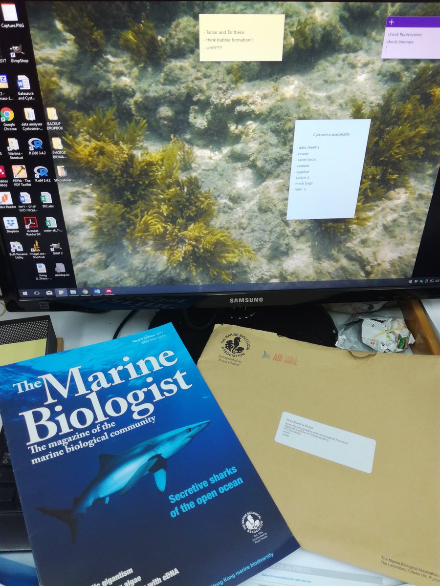 S88Marty's tweet photo. New issue just received..#reading #TheMarineBiologist #MBA #PhDstudent #IOLR #RilovLab #Israel https://t.co/JaNUskLDqm
