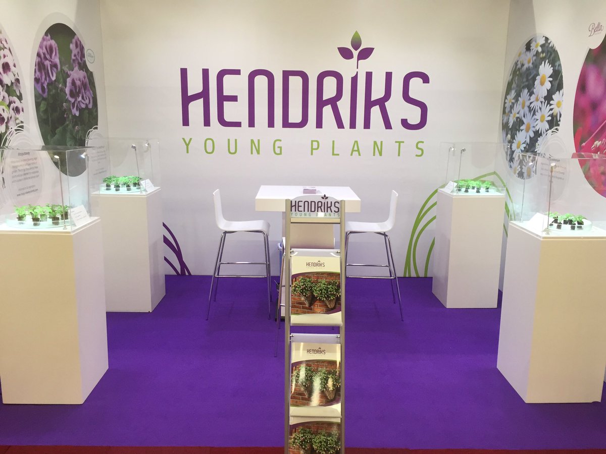 The art of growing gallery of Hendriks Young Plants is ready for the Royal FloraHolland Trade Fair in Aalsmeer. Visit us at stand 21.16 #fuchsia #pelargonium #youngplants #tradefair