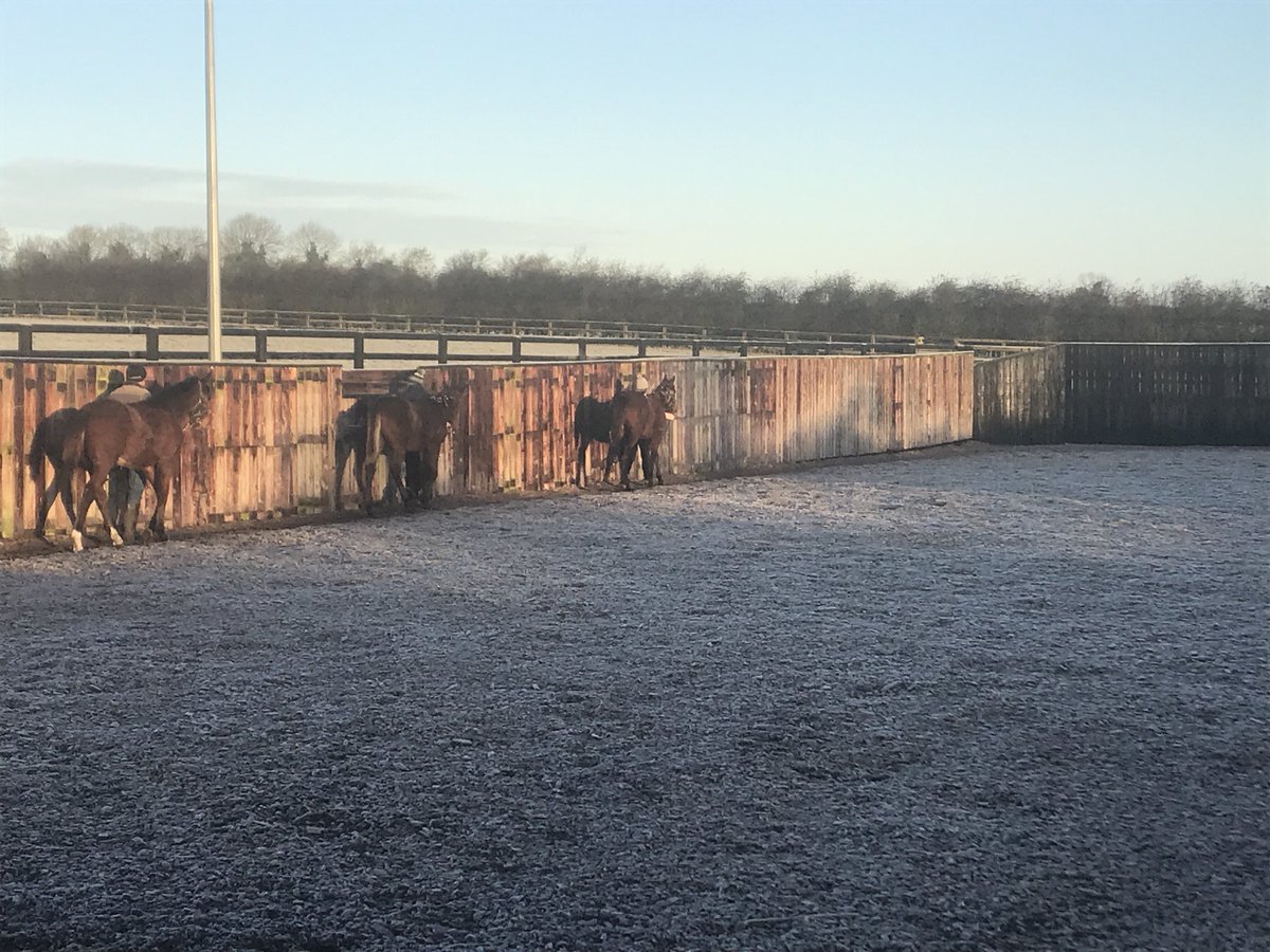 castlefarmstud's tweet photo. #firstfrost #foalprep @Tattersalls1766 @tatts_ireland @Goffs1866 https://t.co/6nkaucOrm6