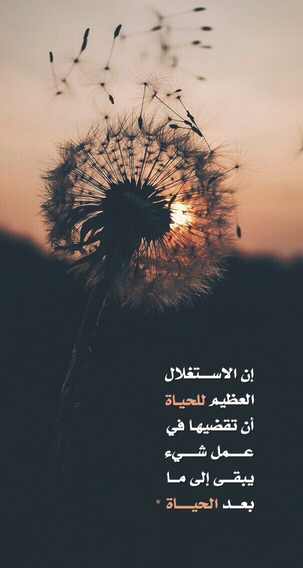 - tweet media