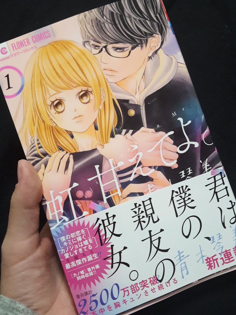 コレクション 彼女は嘘を愛しすぎてる アニメ 1話