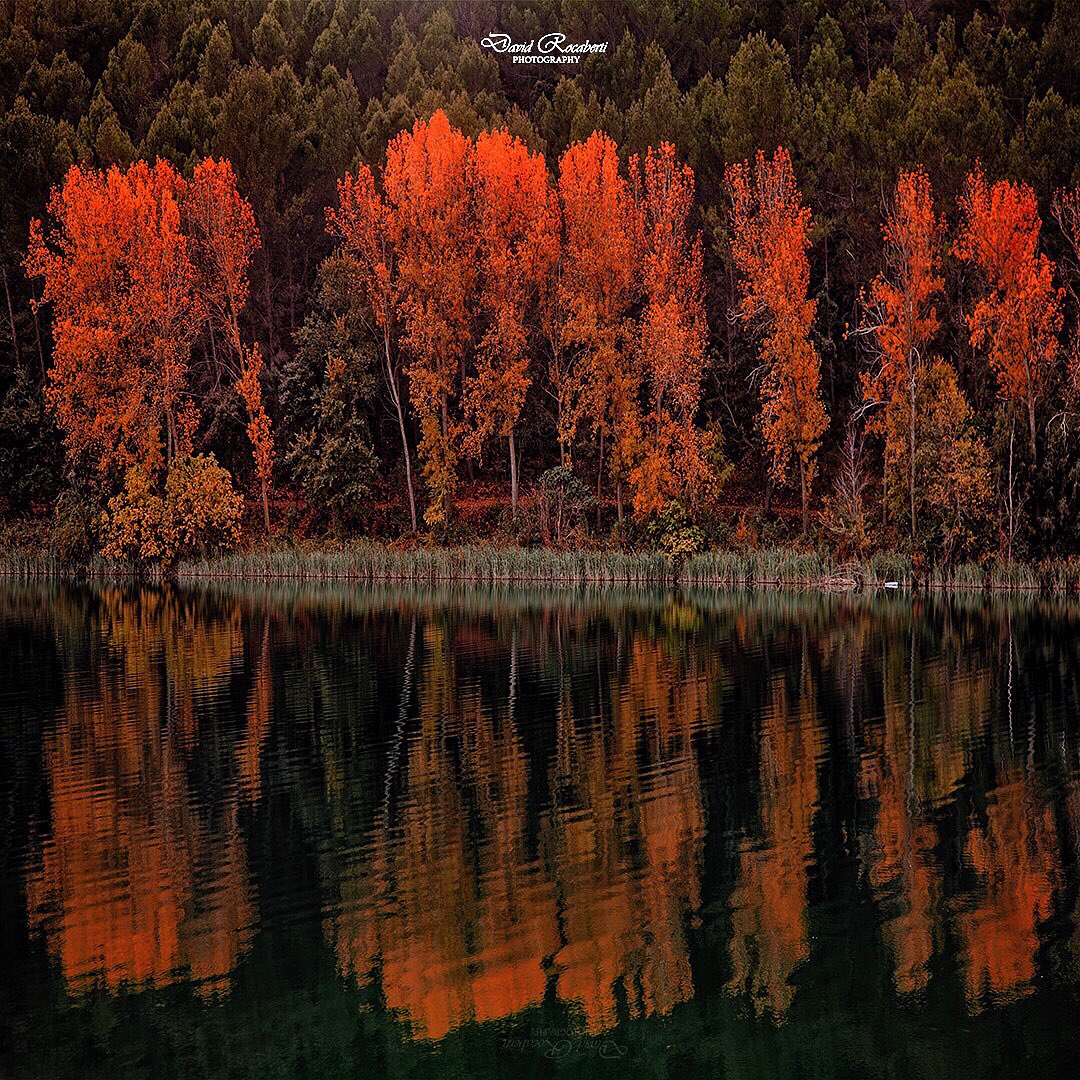 DavidRocaberti's tweet photo. 🇬🇧Autumn vibes at Ruidera, Spain 🍂🍂🍂🍂🍂🍂🍂🍂🍂🍂🍂
🇪🇸Colores de otoño en las Lagunas de Ruidera
#stormhour
#earthcapture
Gear @CanonEspana https://t.co/jbwwoiEXto