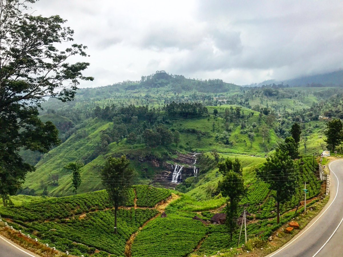 planeemoji's tweet photo. The final instalment of my #srilanka series is up feat. #kandy #nurawaeliya and #Colombo 🇱🇰

https://t.co/p0F8iozapK
#travelblog #planeemoji https://t.co/dJkHxhxZfh
