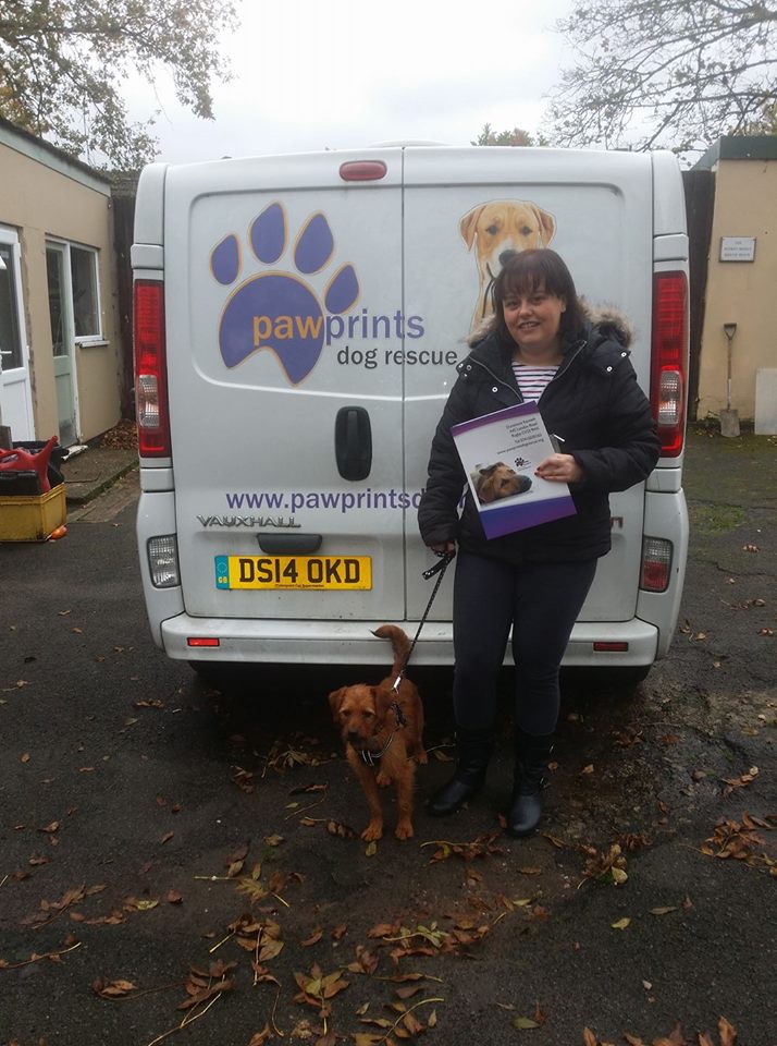 PDRescue's tweet photo. Be happy in your forever home Autumn 💜🐾🐾

@PawprintsAnita @TrishaShaw @Penny2449 https://t.co/1WYyh6CGxj