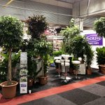 Photo by FachjanProjectPlants (@fachjanbv)