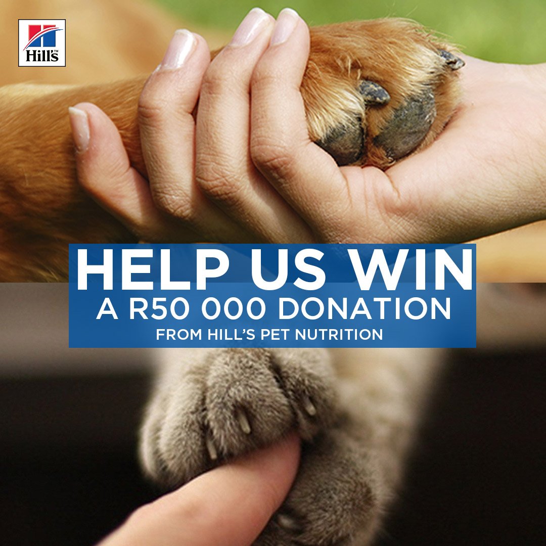 dargdays's tweet image. DARG LOVES @HillsPetSA We all have a chance to win with HillsTransformingLives.co.za and so you could you!
#HillsLovesShelters
@HillsPetSA