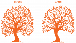 Fox Tree Services tweet media