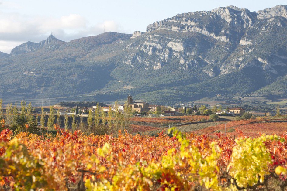 RiojaAlavesa's tweet photo. Laguardia, la villa del vino y la literatura en pleno corazón de la #RiojaAlavesa Ver más en: https://t.co/pOAznLsAOZ https://t.co/jaBgKwjI2A