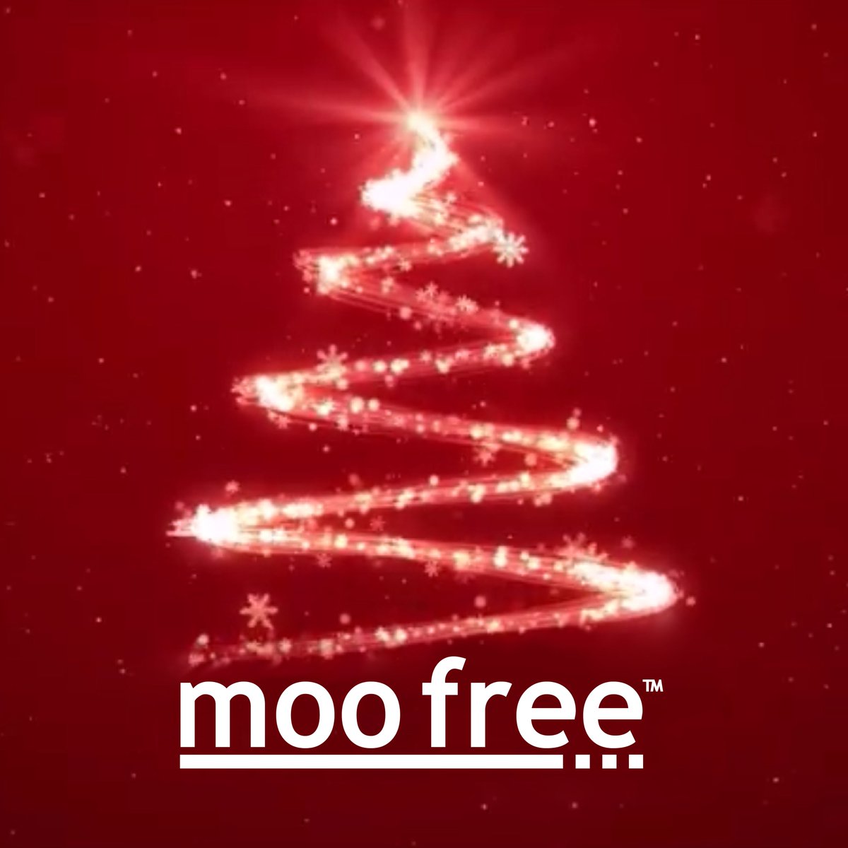 MooFreeChoccies's tweet photo. We've got a very special surprise for you all at 5 pm today.... Can you guess what it is? #MerryMooMas https://t.co/giRldUmZWF