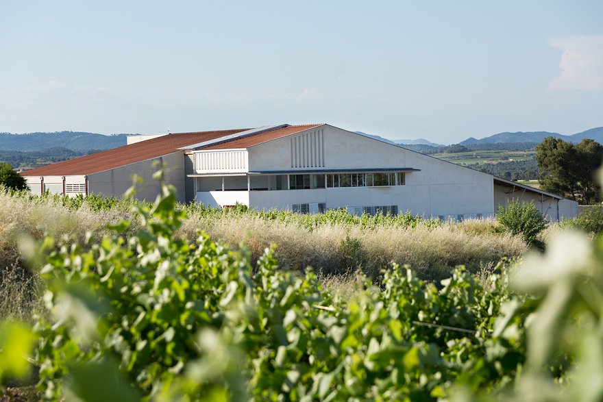 Terra, Tradició i Modernitat visita la nostra web: umesufantres.com
<a href="/UmesUfan3/">umesufan3</a> @enoPENEDES <a href="/dopenedes/">DO Penedès</a> <a href="/DO_Cava/">D.O. Cava</a> #cygnus #vinyaanais #winelovers