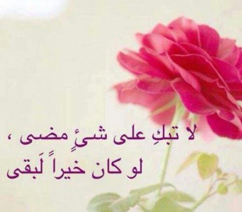 AlryamiSalih's tweet photo. https://t.co/HiLQP12Tpc