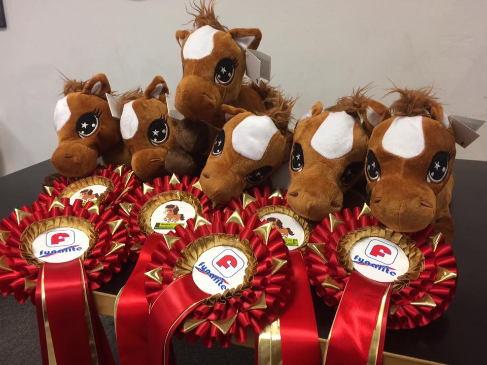 Fynalite1's tweet photo. Come and see our prize-winning ponies at Your Horse Live.
This is for our junior followers that are coming to the show.
 Simply come along to either stand 108 Fynalite, or 502 Boss Tools to guess their names from a list. There will be 6 little winners entrants must be under 12. https://t.co/LUT7fMLokP