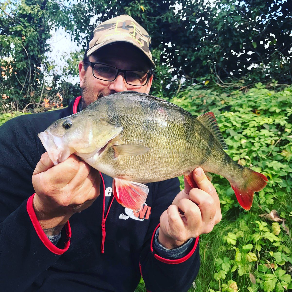 Not the biggest but the hardest fighting perch I’ve caught in a long  time #jumbo