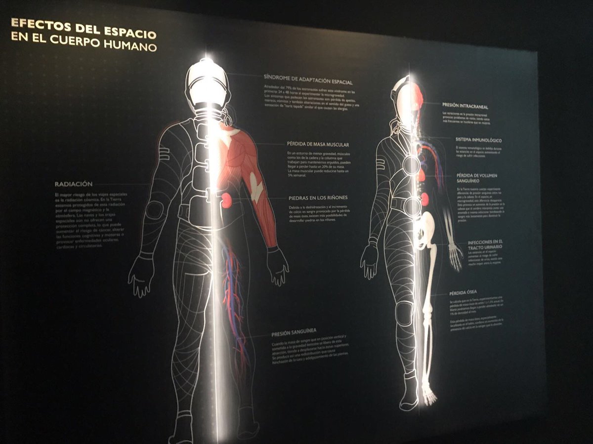 losdelvolcan's tweet image. Desde hoy 8N en @EspacioFTef de Madrid se puede visitar la expo #VoyAMarte un recorrido espectacular por la fascinación del ser humano por el planeta rojo @losdelvolcan hemos colaborado en el #diseñográfico #visualizacióndedatos e #infografía ¡Una experiencia marciana! 🌋👽🤖