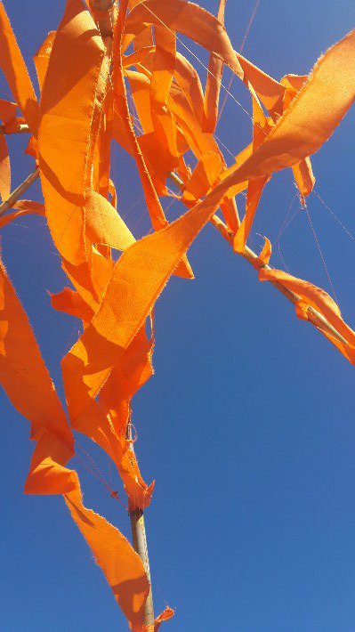 Apricot Jamboree at the Calitzdorp station on 9 December 2017. 1000 bottles of jam to be made for the Community Chest. Come and join in the marathon. Contact tourism to get onto the roster 0442133775.