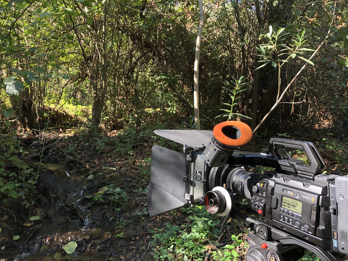 info_hermoso's tweet photo. La verdad es que necesitaba la tranquilidad del rodaje documental https://t.co/rdGdQPFx3I