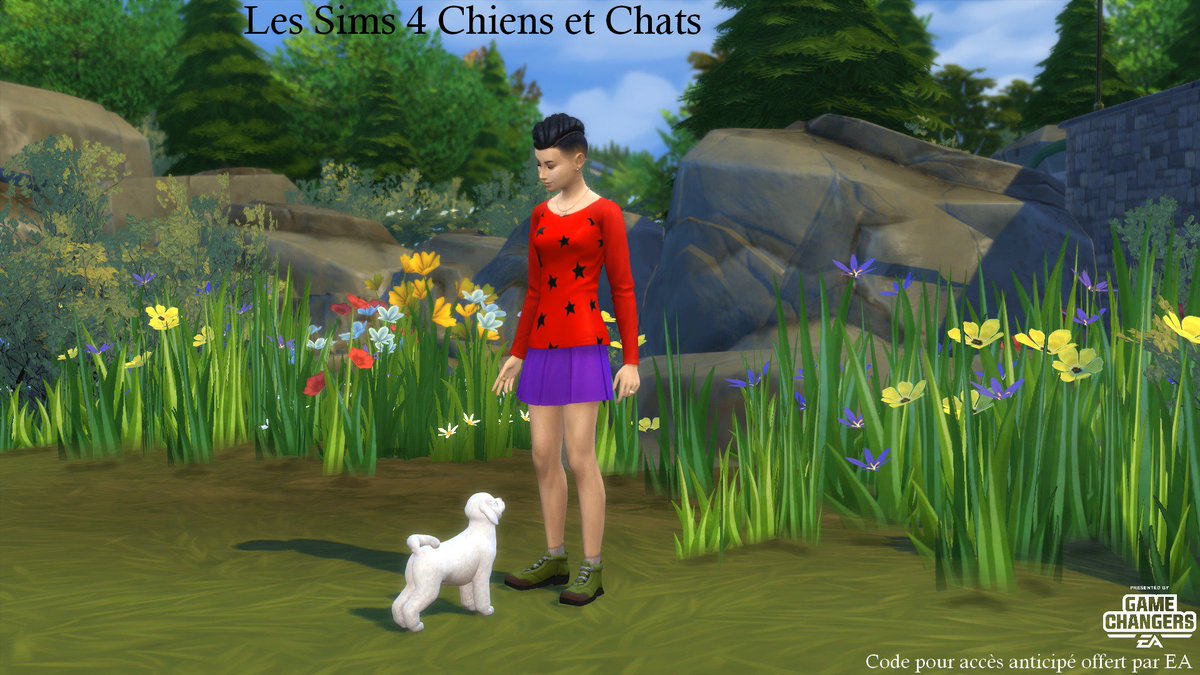 Khany Sims On Twitter Sims4 Chiens Et Chats Dogs And