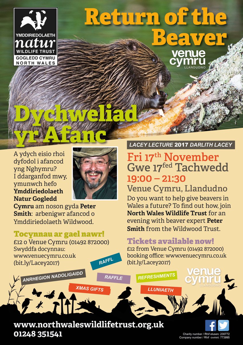 CastorAnglicus's tweet photo. #Beavers a plan for #Wales Ecological Renaissance, with the help of #DavidLloydGeorge #rewiling #LVT https://t.co/rcUsn7QHMd https://t.co/VRjuVV9RiL