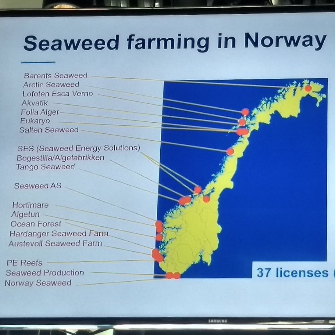 Sterke ontwikkeling Noorse zeewiermarkt! Grotendeels geleverd met lokaal geselecteerd en opgeschaald uitgangsmateriaal door #Hortimare #zeewier #duurzaam