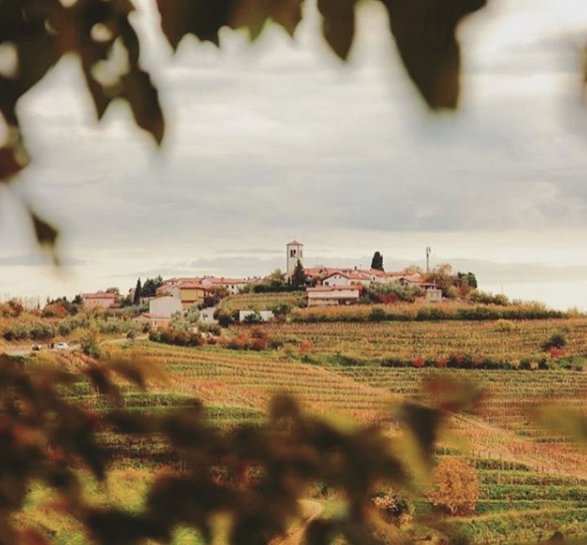Goriska_Brda's tweet photo. Views like these are the perfect way to get through Wednesday! 📸 Zarja Šinkovec #photooftheday #HumpDay #ifeelsLOVEnia #Autumnwatch https://t.co/K2KQlDUToq