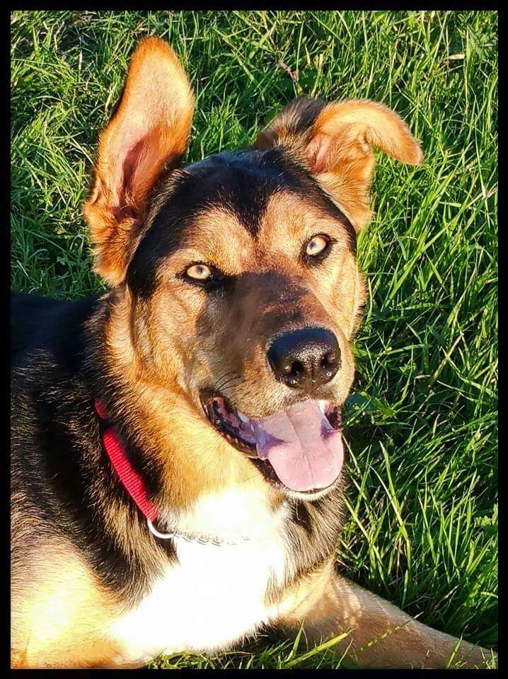 #FindZakHuntaway tweet media