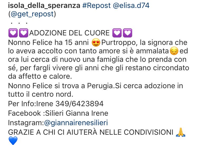 susy962's tweet photo. 🆘🆘🆘Forza amici troviamo una casuccia per questo nonnino bellissimo 🙏🙏🆘🆘🆘 https://t.co/jE4Qsz3mmx