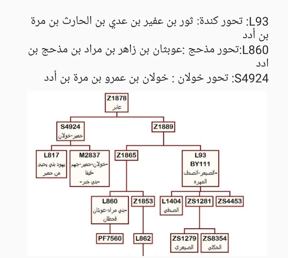 Abu Mohamed Alsardy tweet media