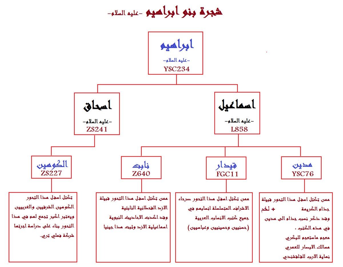 Abu Mohamed Alsardy tweet media