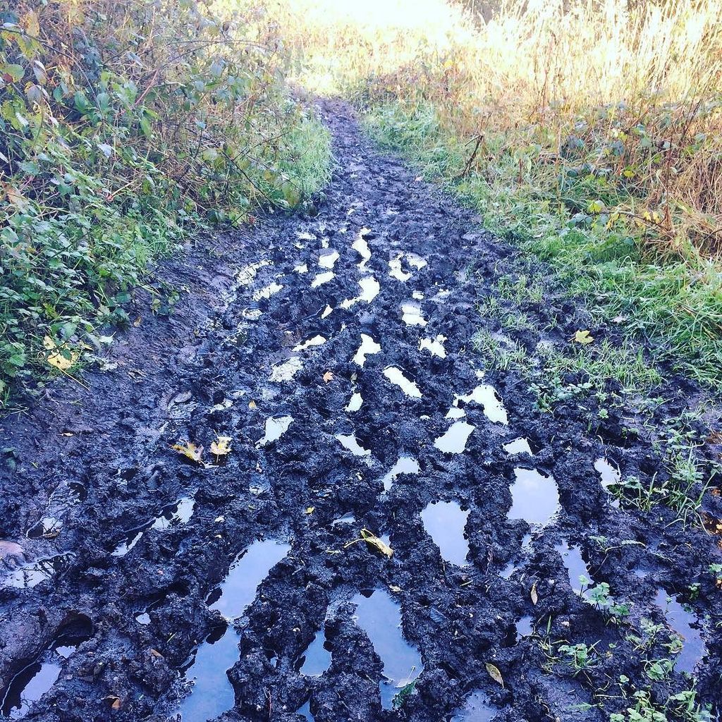 mileswithshell's tweet photo. Good practice for the weekend I guess #soggyfeet Who else has some muddy fun planned? #trailrunning #warringtonway #mileswithmichelle #ukru… https://t.co/uiGEnjkbyc