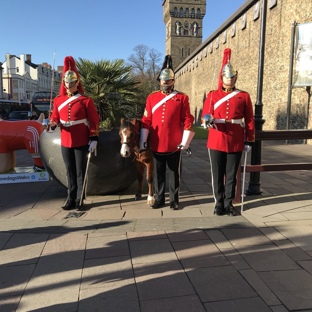 spaceofsophie's tweet photo. Just arrived at Cardiff Castle for the Field of Remembrance. Guards are on stand at the entrance. #USWRemembers https://t.co/THJyJCIeAj