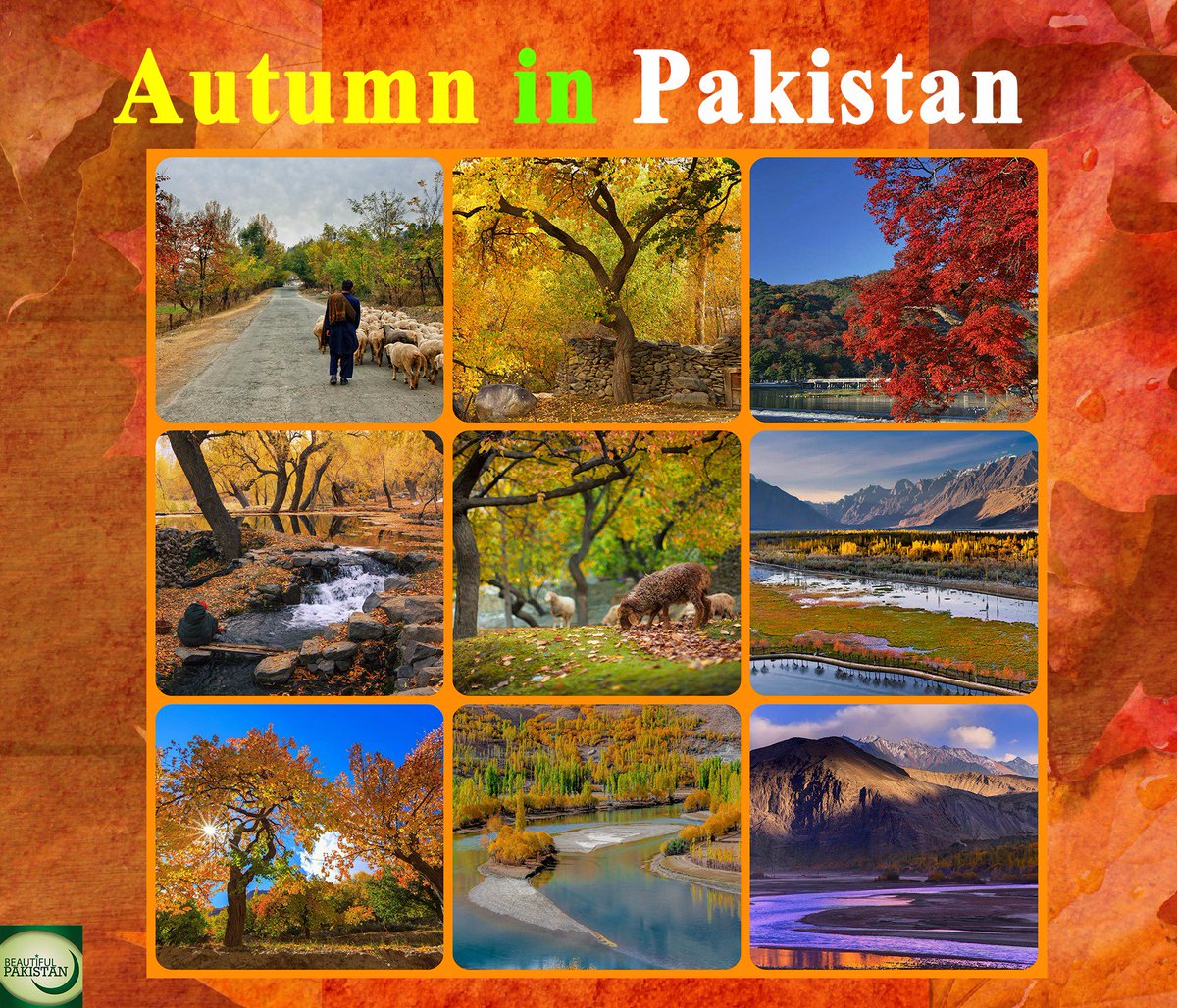 beautifulpak14's tweet photo. #Pakistan #seasons #Autumn #northern #hills #slopes #leaves  #snow;  #picturesque #AmazingPakistan #Hunza #Gilgit #Kaghan #Travel #Tourism https://t.co/uCQqCO6Sif