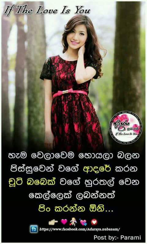 Featured image of post Fb Post Sinhala New Love City / Best funny memes sinhala for copyright matters please contact us at:ayuboone@gmail.com thank you so much for watching.