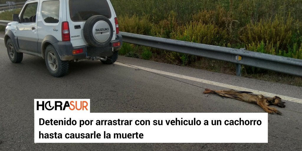 PartidoPACMA's tweet photo. En PACMA trabajamos para endurecer las sanciones por delitos de #MaltratoAnimal, para que los maltratadores de animales, no queden impunes.

¿Aún dudas de que no es necesario un partido que defienda a los animales?

🗞 Noticia: https://t.co/1xwFFQQG3r https://t.co/GcWCxUg5Ht