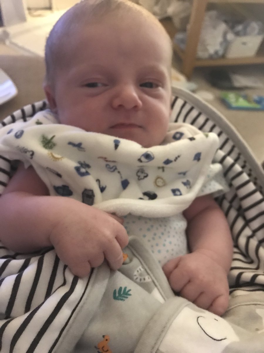 aspickup's tweet photo. The many faces of Charlie! https://t.co/bMc3ijhfpL