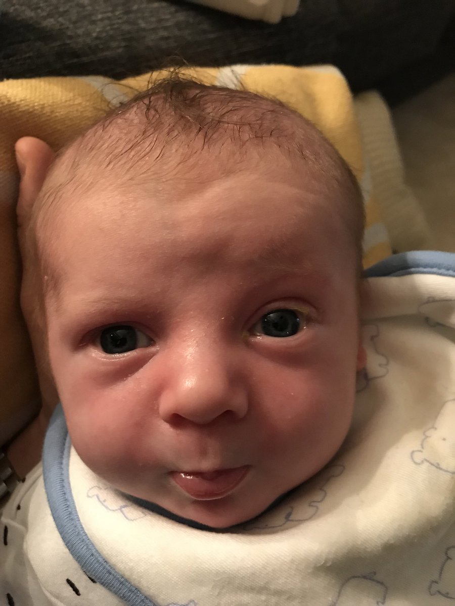 aspickup's tweet photo. The many faces of Charlie! https://t.co/bMc3ijhfpL